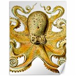 Gold Octopus Canvas 18  x 24  17.8 x23.08  Canvas - 1