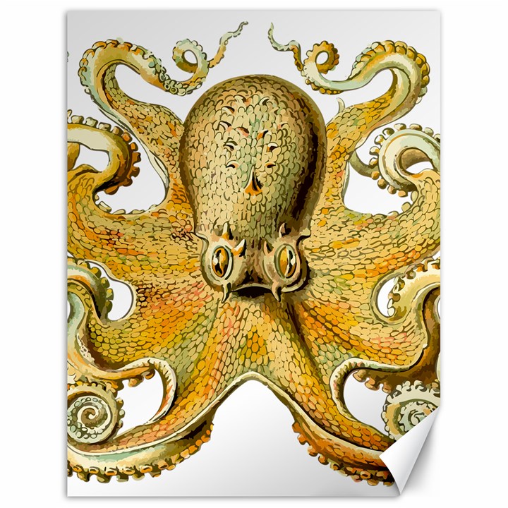 Gold Octopus Canvas 18  x 24 