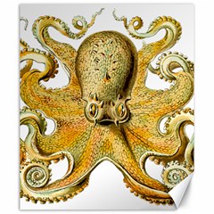 Gold Octopus Canvas 20  x 24 