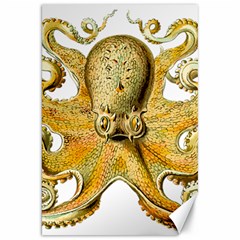 Gold Octopus Canvas 20  x 30 