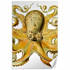 Gold Octopus Canvas 24  x 36 