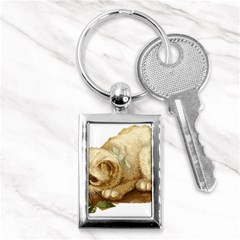 Cat 1827211 1920 Key Chains (rectangle)  by vintage2030