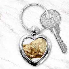 Cat 1827211 1920 Key Chains (heart)  by vintage2030