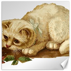 Cat 1827211 1920 Canvas 12  X 12  by vintage2030