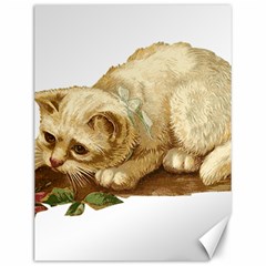 Cat 1827211 1920 Canvas 12  X 16  by vintage2030