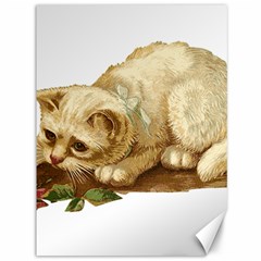 Cat 1827211 1920 Canvas 36  X 48  by vintage2030