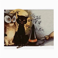 Owls 1461952 1920 Small Glasses Cloth by vintage2030