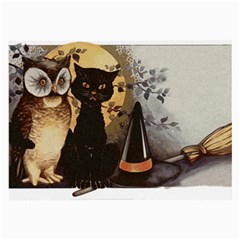 Owls 1461952 1920 Large Glasses Cloth by vintage2030