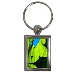 Window Of Opportunity Key Chains (rectangle)  by FunnyCow