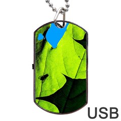 Window Of Opportunity Dog Tag Usb Flash (one Side) by FunnyCow