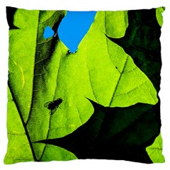 Window Of Opportunity Standard Flano Cushion Case (two Sides) by FunnyCow