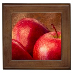 Three Red Apples Framed Tiles by FunnyCow