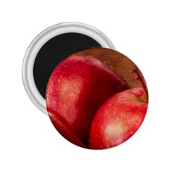 Three Red Apples 2 25  Magnets by FunnyCow