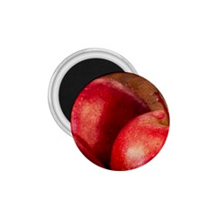 Three Red Apples 1 75  Magnets by FunnyCow