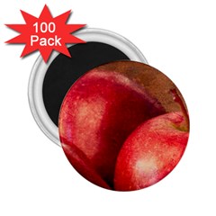 Three Red Apples 2 25  Magnets (100 Pack)  by FunnyCow