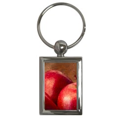 Three Red Apples Key Chains (rectangle)  by FunnyCow