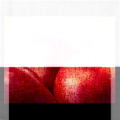 Three Red Apples Rectangular Jigsaw Puzzl by FunnyCow