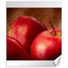 Three Red Apples Canvas 8  X 10  by FunnyCow