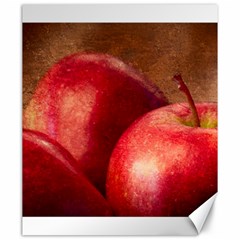 Three Red Apples Canvas 20  X 24  by FunnyCow