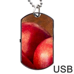 Three Red Apples Dog Tag Usb Flash (one Side) by FunnyCow