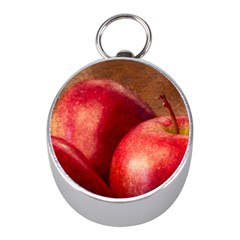 Three Red Apples Mini Silver Compasses