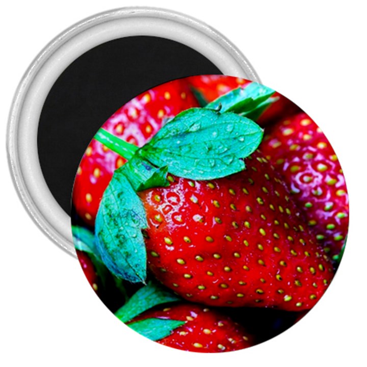 Red Strawberries 3  Magnets