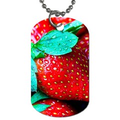 Red Strawberries Dog Tag (two Sides) by FunnyCow