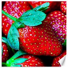 Red Strawberries Canvas 20  X 20  by FunnyCow