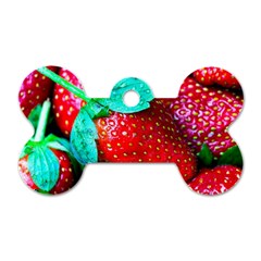 Red Strawberries Dog Tag Bone (two Sides) by FunnyCow