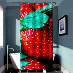 Red Strawberries Shower Curtain 36  X 72  (stall)  by FunnyCow