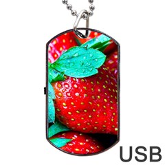 Red Strawberries Dog Tag Usb Flash (one Side) by FunnyCow