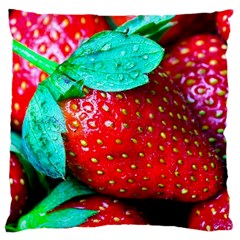 Red Strawberries Large Cushion Case (one Side) by FunnyCow