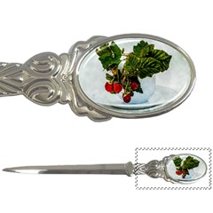 Red Raspberries In A Teacup Letter Opener by FunnyCow