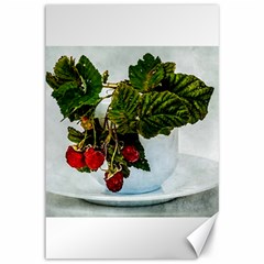 Red Raspberries In A Teacup Canvas 12  X 18  by FunnyCow