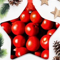 Pile Of Red Tomatoes Ornament (star) by FunnyCow