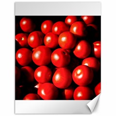 Pile Of Red Tomatoes Canvas 12  X 16  by FunnyCow