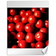 Pile Of Red Tomatoes Canvas 18  X 24  by FunnyCow