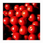 Pile Of Red Tomatoes Medium Glasses Cloth (2-Side) Front