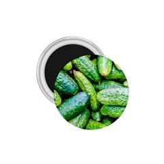 Pile Of Green Cucumbers 1 75  Magnets by FunnyCow