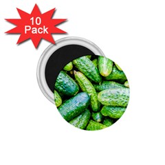 Pile Of Green Cucumbers 1 75  Magnets (10 Pack)  by FunnyCow