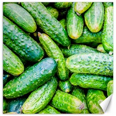 Pile Of Green Cucumbers Canvas 16  X 16  by FunnyCow