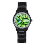 Pile Of Green Cucumbers Stainless Steel Round Watch Front