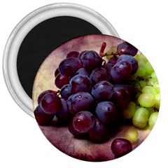 Red And Green Grapes 3  Magnets by FunnyCow