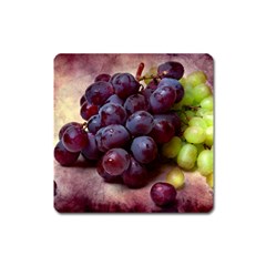 Red And Green Grapes Square Magnet by FunnyCow