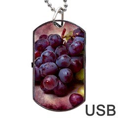 Red And Green Grapes Dog Tag Usb Flash (two Sides) by FunnyCow