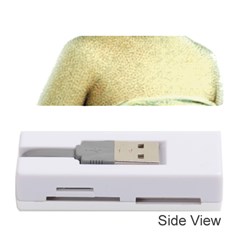 Lady 781311 1920 Memory Card Reader (stick) by vintage2030