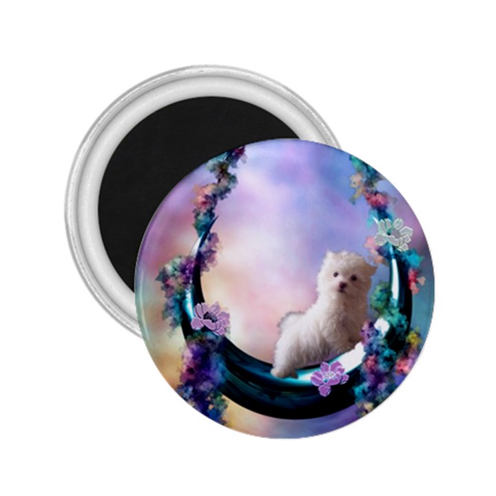 Cute Little Maltese Puppy On The Moon 2.25  Magnets