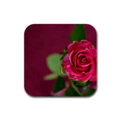 Rose 693152 1920 Rubber Square Coaster (4 Pack)  by vintage2030