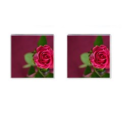 Rose 693152 1920 Cufflinks (square) by vintage2030