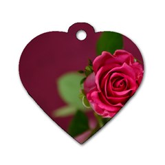 Rose 693152 1920 Dog Tag Heart (two Sides) by vintage2030